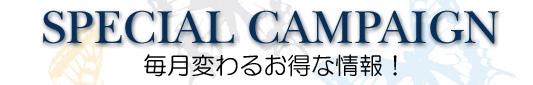 今月のキャンペーン