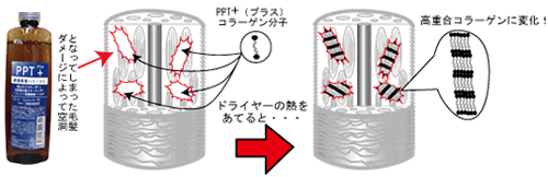 パワーPPT+