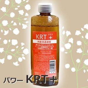 kamifu-sen_a003l.jpg