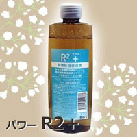 r2+22.jpg
