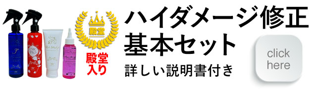 ハイダメージ毛修正