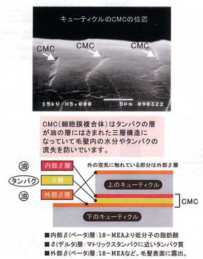 cmc図解